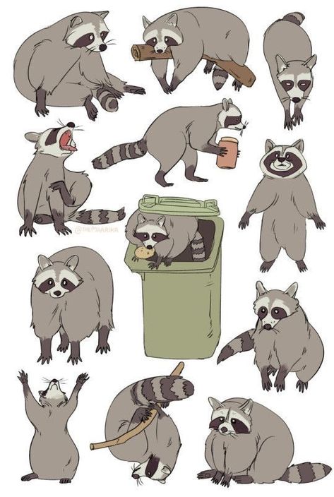 Raccoon Drawing, Raccoon Art, Panda Tattoo, Cute Raccoon, Trash Panda, Arte Inspo, Animal Sketches, Racoon, 영감을 주는 캐릭터