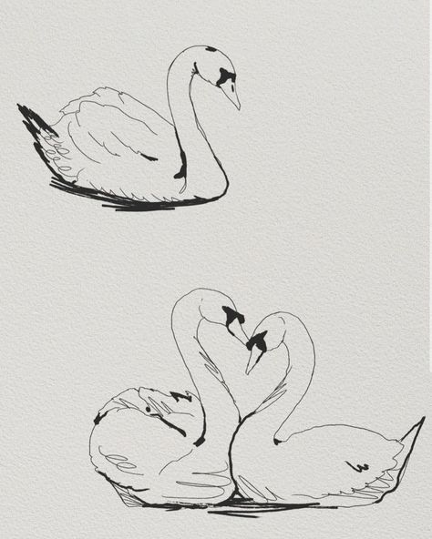 Swan from my flash! I have a couple spots for flash tattoos on Monday and Friday next week. I’m out of town the 19th until beginning of October. Book a tattoo before I leave! . . . #sandiegotattooartist #sandiegotattoo #sandiegotattoos Two Swans Drawing, Simple Swan Tattoo, Swan Reference, Swans Drawing, Swan Sketch, Black Swan Tattoo, September Books, Swan Illustration, Swan Drawing