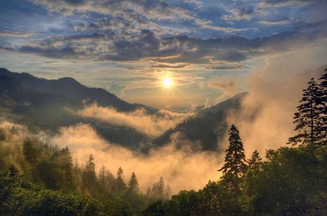 Comfort Spring misty mountains of east Tennessee #nature #skies #mist #fog #SmokyMountains #tennessee National Parks Usa, Mountain Photography, Great Smoky Mountains National Park, Blue Ridge Parkway, East Tennessee, Smoky Mountain National Park, Appalachian Trail, Nature Trail, Great Smoky Mountains