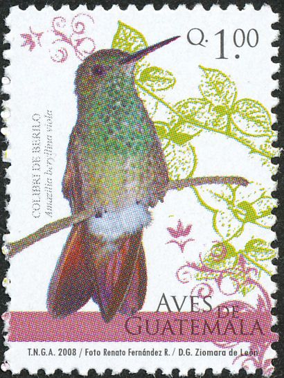 Berylline Hummingbird stamps - mainly images - gallery format Commemorative Stamps, Old Stamps, Vintage Stamps, Stamp Collecting, Digital Stamps, Central America, Bank Notes, Postage Stamps, Guatemala