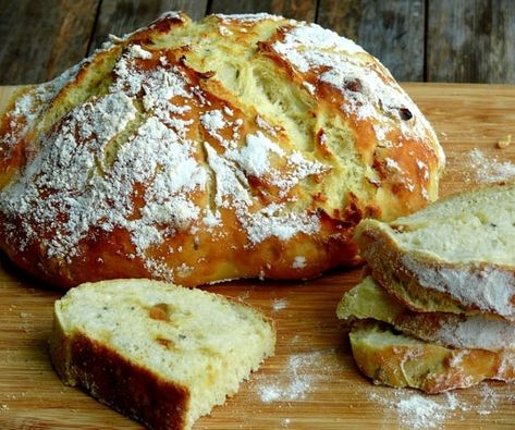 Get ready to fall in love with the incredible flavors of roasted garlic and rosemary in this homemade bread recipe. Roasted Garlic Rosemary Bread This recipe is so simple and has never failed. I have made my own adjustments that I think make the recipe work better and even make it even more foolproof. Roasted ... Read More about Roasted Garlic-Rosemary Bread Garlic Rosemary Bread, Savory Breads, Rosemary Bread, A Loaf Of Bread, Yeast Breads, Knead Bread, Rosemary Garlic, Biscuit Rolls, Healthy Bread