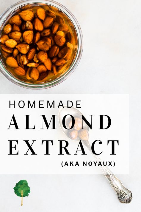 Ever wondered how to make REAL almond extract? This old French recipe for noyaux is exactly that. It's made from apricot kernels, and it makes the best almond extract ever. Noyaux is deeply aromatic, rich with almond flavor and both cheap and easy to make. Vanilla Extract Recipe, Canning Food Preservation, Apricot Seeds, Almond Extract, Flavor Ice, Almond Flavor, Apricot Kernels, The Perfume, Dehydrator Recipes