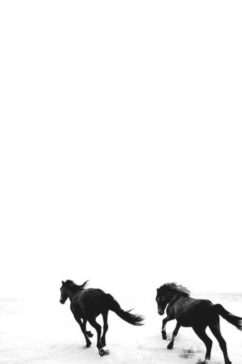 Black & White Aesthetic | Horses | Running | Beach Black And White Horse Aesthetic, Horse Wallpaper Iphone Backgrounds, Aesthetic Horse Wallpaper, Aesthetic Horse, Wallpaper Animals, Wallpaper Backgrounds Aesthetic, Equestrian Aesthetic, Black And White Art Drawing, Backgrounds Aesthetic