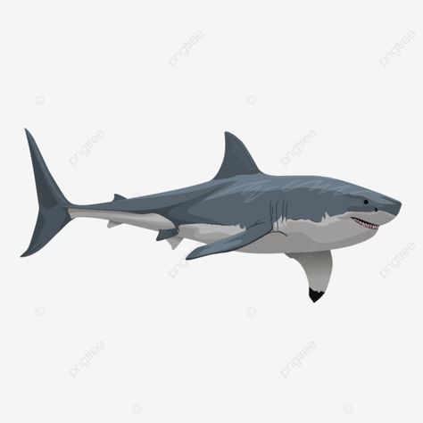 Shark Background, Shark Clipart, Shark Illustration, Shark Silhouette, Shark Pattern, Shark Art, Underwater Animals, Animal Png, Transparent Image