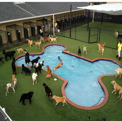 Indoor Dog Park, Pet Daycare, Dog Boarding Facility, Dog Boarding Kennels, Dog Hotel, Dog Playground, Pet Paradise, Pet Resort, Dog Cafe