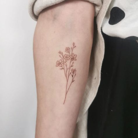 Salvia Tattoo, Flowers Tattoo, Leaf Tattoos, Flower Tattoos, Maple Leaf Tattoo, Flower Tattoo, Tattoos, Flowers