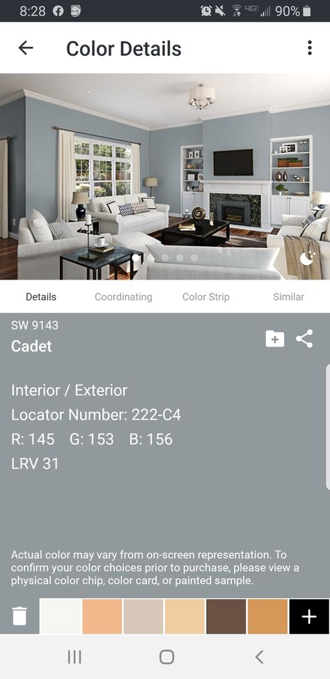 Sherwin Williams Cadet Paint, Cadet Sherwin Williams, Sherwin Williams Cadet, Color Chip, Coordinating Colors, Sherwin Williams, Color Choices, Color Scheme, Painting Ideas