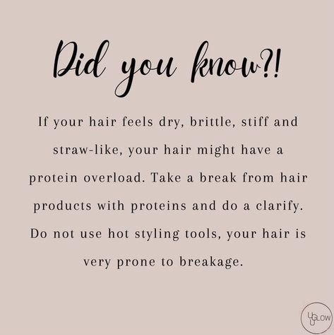 Hairstylist Tips Hair Tricks, Hair Facts Tips, Tip Tuesday Hair, Hair Tip Tuesday Quotes, Hair Posts For Instagram, Hair Tip Tuesday, Quotes Hairstylist, Hairstylist Post, Appointment Template