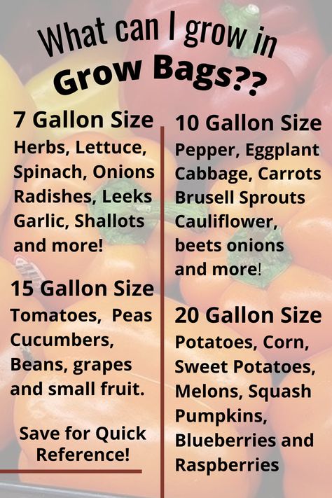 Grow Bags and what to grow in them What Can You Can, Vegetable Gardening Tips And Tricks, Pot Size For Vegetables, Grow Bag Garden Layout, How To Grow Vegetables In Pots, Grow Bag Size Chart For Vegetables, Grow Bags Garden, Growbag Garden Ideas, Garden Bags How To Grow