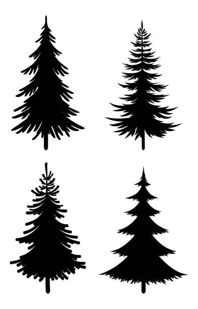 32,600+ Pine Trees Silhouette Stock Photos, Pictures & Royalty-Free Images - iStock | Pine tree vector, Tree line, Pacific northwest trees Pine Trees Silhouette, Christmas Illustration Art, Vintage Christmas Illustration, Christmas Illustration Design, Trees Silhouette, Vintage Typography Design, Christmas Tree Silhouette, Pine Tree Silhouette, Laser Cut Decor