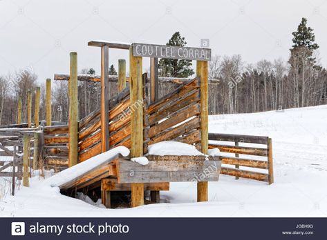 Cattle Gate Latch Ideas, Cattle Working Pens Design, Feedlot Cattle Design, Small Cattle Working Pens Design, Cattle Loading Chute, Cattle Gate, Cabin, House Styles