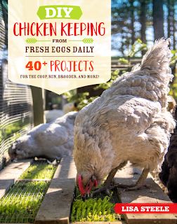 Chicken Keeping Hacks, Coop Run, Chicken Keeping, Hatching Chicks, Reading Diy, Duck Eggs, Backyard Flocks, Diy Chicken, Keeping Chickens