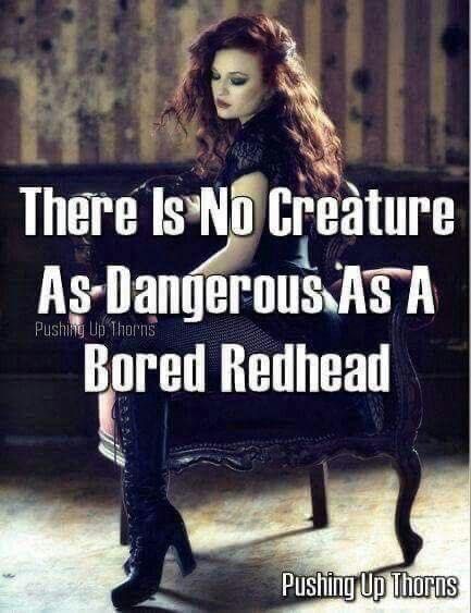 Red Head Quotes, Redhead Humor, Redhead Memes, Ginger Quotes, Red Hair Quotes, Ginger Jokes, Redhead Facts, Redhead Quotes, Redhead Art