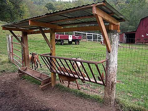 hay feeder for goats http://chickensintheroad.com/dailyfarm/the-goats-hay-feeder/ Hay Feeder With Roof, Covered Horse Hay Feeder, Fence Hay Feeder, Hay Trough For Goats, Cow Feeding Trough, Covered Hay Feeder For Goats, Covered Goat Feeder, Goat Feed Trough, Diy Goat Hay Feeder With Roof