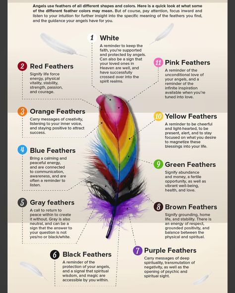 ANGEL SIGNS! We all know numbers are a huge one, but finding feathers is also a very common way for your spirit guides to get your attention. I remember during my spiritual awakening, I would find brown, grey, and blue feathers evvvverywhere. Just last week I found a beautiful pink one while sitting outside with my pug! 🦢 Do you guys ever find feathers? 🦅 Growing up I used to watch my mom find them in the most random places, like a shoe box in Kmart lol I mean, you just can’t deny when it’s Feather Color Meaning, Cardinal Feather, Finding Feathers, Feather Meaning, Types Of Feathers, Angel Signs, Angel Feathers, Yellow Feathers, Dream Symbols