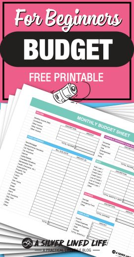 FREE amazing budget printable & worksheet! This is an awesome guide to budgeting for beginners. The best basic tips for money management are all answered in this post! Budget Monthly, Free Budget Printables, Budget Sheet, Monthly Budget Printable, Printable Budget, Finance Printables, Finance Plan, Free Budget, Living On A Budget