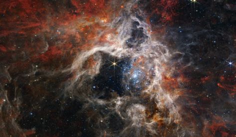 Tarantula Nebula, Telescope Images, Super Earth, Star Formation, Orion Nebula, James Webb, James Webb Space Telescope, Hubble Space, Hubble Space Telescope