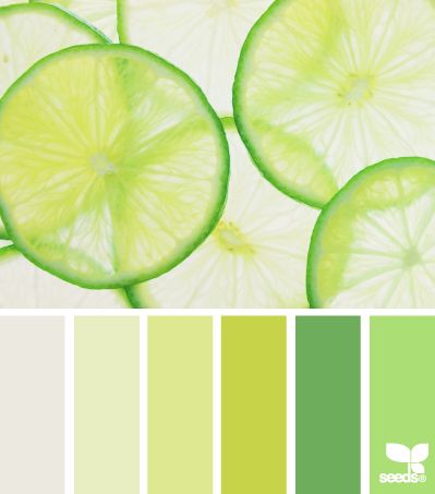 Différentes nuances de vert pour le salon http://www.m-habitat.fr/tendances-et-couleurs/couleurs-deco/bien-choisir-et-combiner-les-couleurs-dans-une-maison-2930_A #vert #zen #couleur Lime Green Color Scheme, Green Color Scheme, Seeds Color, Colour Pallets, Color Palate, Design Seeds, Colour Palettes, Color Stories, World Of Color