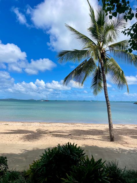 Airlie Beach Aesthetic, Airlie Beach Australia, Palm Beach Australia, 2024 Manifestations, Australian Summer, 2023 Aesthetic, Australia Beach, Vision Board Images, Airlie Beach