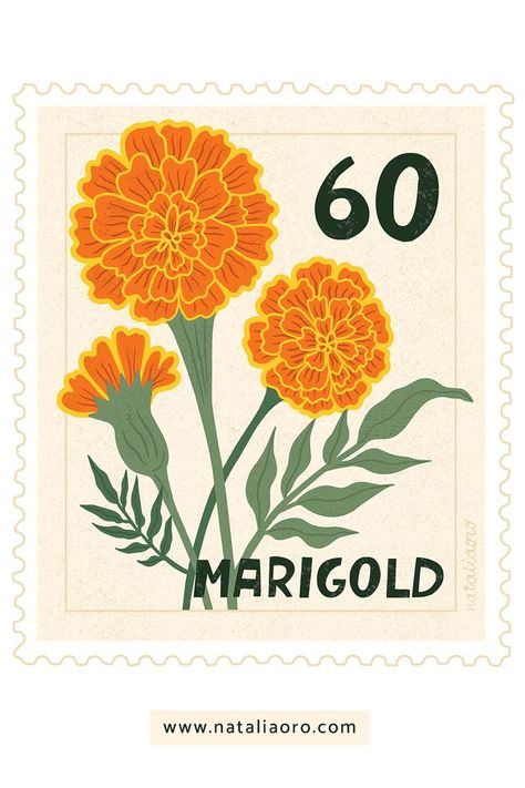 Realistic Flower Drawing, Marigold Tattoo, Pumpkin Tattoo, Colourful Style, Mexican Flowers, School Murals, Marigold Flower, Design Editorial, Post Stamp