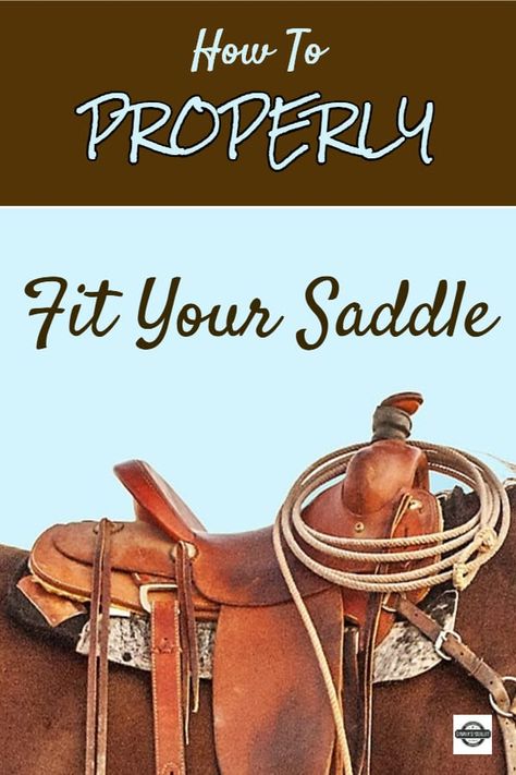 How To Fit A Saddle To A Horse, How To Saddle A Horse Step By Step, How To Saddle A Horse, Horse Guide, Riding Tips, Horse Knowledge, Horse Care Tips, Saddle Fitting, Equestrian Helmet