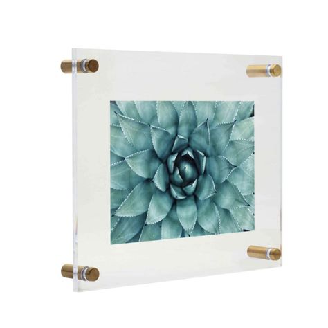 PRICES MAY VARY. Add a modern touch to your home with these eye-catching floating acrylic photo frames. Chic brass standoff knobs press your art between the clear acrylic frames to create a minimalist floating display. Get a luxe, brass and Lucite-look for a fraction of the cost. Perfect for creating a modern gallery wall or displaying signage, artwork, photography, pictures, certificates, even textiles -- anything you want to see on your wall without a distracting frame. Frameless Picture Frames, Floating Acrylic Frame, Floating Picture Frames, Acrylic Picture Frames, Brass Picture Frames, Document Frame, Acrylic Photo Frames, 8x10 Picture Frames, Modern Gallery Wall