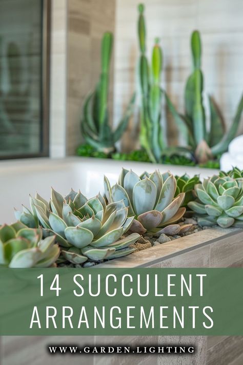 a close up of a planter with succulents in it Succulent Ideas Indoor, Succulent Arrangement Ideas, How To Arrange Succulents In A Pot, Succulent Arrangements Indoor Table, Large Succulent Arrangements, Small Succulent Arrangements, Lantern Succulent Planter, Succulent Arrangements In Glass Vase, Rectangle Succulent Arrangements