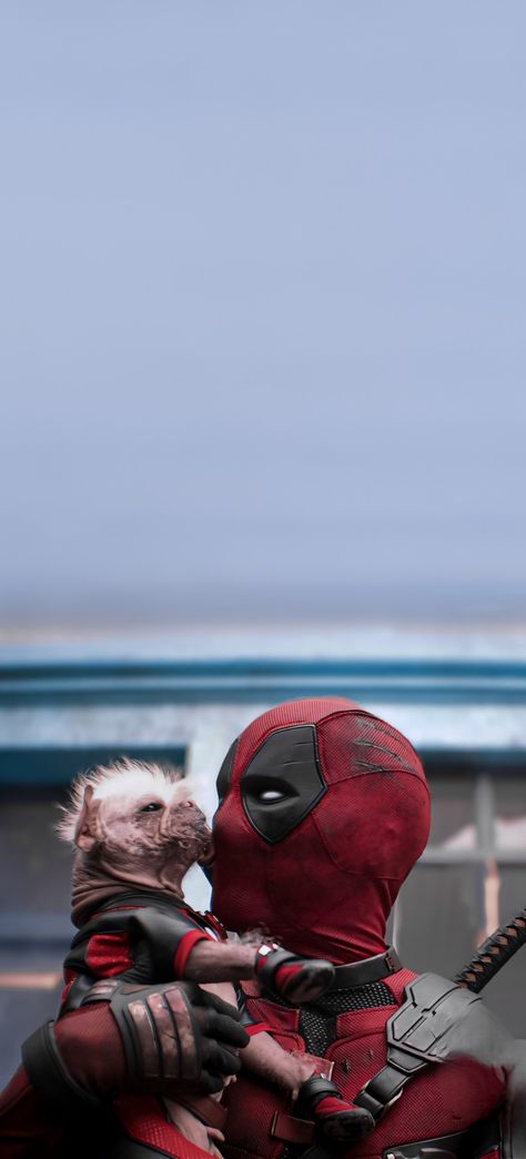 Aesthetic Deadpool Wallpaper, Deadpool Dogpool Wallpaper, Deadpool Lockscreen Wallpaper, Deadpool Wallpaper Comic, Deadpool And Wolverine Dogpool, Deadpool 3 Wallpaper, Deadpool And Dogpool, Deadpool 3 Poster, Deadpool And Spiderman Wallpaper