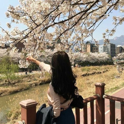 Cherry Blossom Pictures, Cherry Blossom Girl, Korean Picture, 사진 촬영 포즈, Japan Aesthetic, Aesthetic Japan, Korean Aesthetic, Japanese Aesthetic, Aesthetic Photography Nature