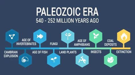 Cambrian Explosion, Paleozoic Era, Impact Event, History Of Earth, Plant Insects, Earth View, Dry Desert, Beneath The Surface, Ups And Downs