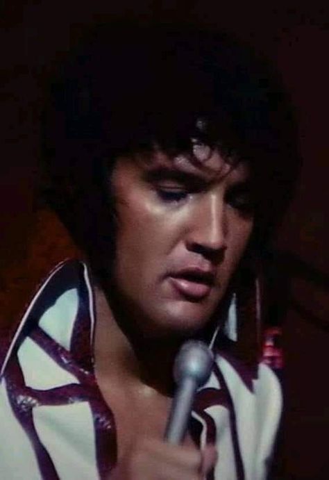 Elvis 1970, Elvis 70s, Climb The Mountain, Jon Bonjovi, King Elvis Presley, Elvis Pictures, Elvis In Concert, Elvis Photos, Screen Wall