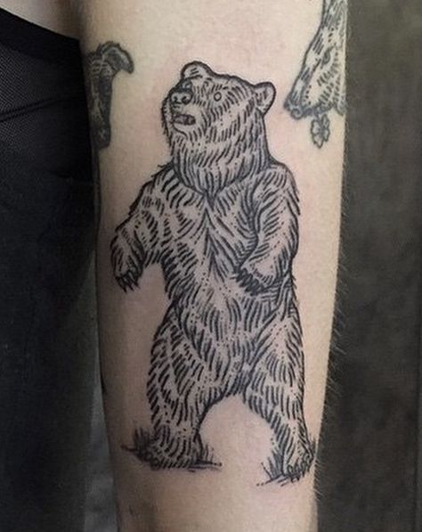 Grizzly Bear Outline Tattoo, Bear Tattoos Traditional, Bear Tattoo Aesthetic, Russian Bear Tattoo, Woodcut Bear Tattoo, Smokey Bear Tattoo, Brown Bear Tattoo, Bear Drawing Tattoo, Woodcut Tattoo Design