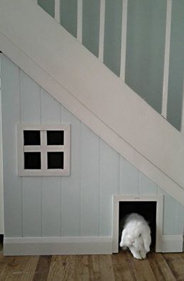 Rabbit House under the stairs Under The Stairs Rabbit House, Under Stairs Rabbit House, Rabbit Enclosure, Rabbit Ideas, Bunny Hutch, Rabbit House, Bunny Room, Indoor Rabbit, Bunny Care