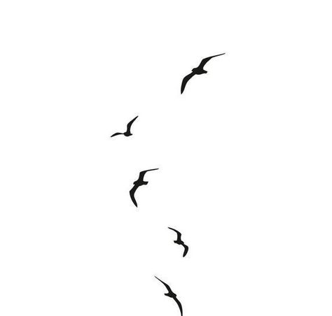 Black Birds Tattoo, Bird Tattoo Black, Simple Birds Tattoo, Small Line Tattoos Men, Sea Bird Tattoo, Seagulls Tattoo, Birds Tattoo Men, Seabird Tattoo, Bird Wrap Around Arm Tattoo