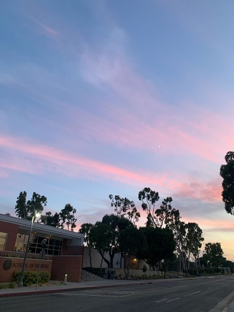 Csulb Campus, Beach University, Cal State Long Beach, Cotton Candy Skies, College Vision Board, Cal State, Cotton Candy Sky, Summer Dream, Long Beach