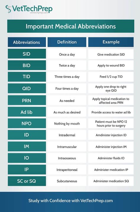 Infographic: Important Medical Abbreviations for Vet Techs Veterinary Receptionist Training, Vet Tech Notes, Veterinarian Aesthetic, Veterinary Technician Student, Veterinarian Quotes, Veterinarian Scrubs, Veterinarian Assistant, Medical Abbreviations, Vet Nursing