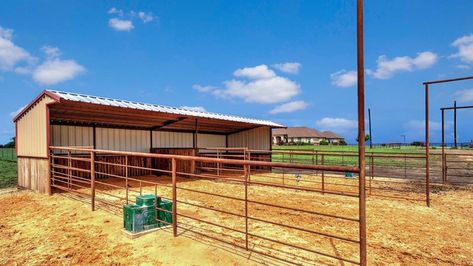 Horse Pens Ideas, Horse Pen Ideas, Cattle Gate, Sheep House, Small Horse Barns, Horse Pens, Livestock Barn, Horse Farm Ideas, Diy Horse Barn