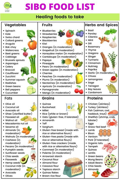 sibo food list Effective Management, Small Intestine Bacterial Overgrowth, Beet Greens, Hormone Balance, Broccoli Cauliflower, Herbal Healing, Low Fodmap Diet, Fodmap Diet, Diet Food List