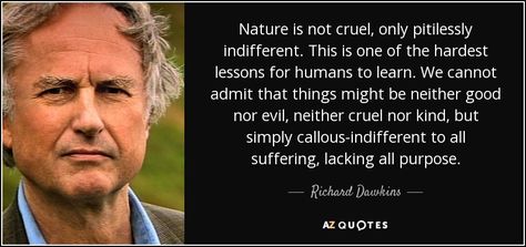 Richard Dawkins Quote, Ex Christian, Attitudinal Psyche, Scientist Quotes, Science Vs Religion, Evolutionary Psychology, Maeve Wiley, Herding Cats, Atheist Quotes