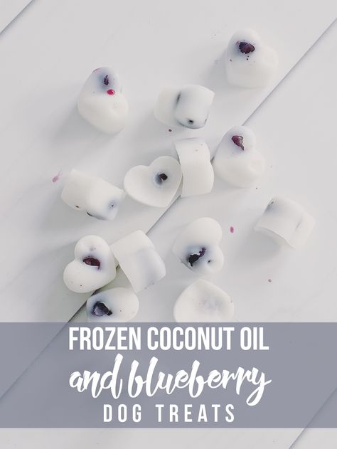 These Frozen Coconut Oil and Blueberry Dog Treats are a fresh way for your pup to cool off this Summer! Bonus: they are super healthy, too! Blueberry Dog Treats, Danny Dog, Frozen Dog Treats, Coconut Oil For Dogs, Frozen Dog, Food Dog, Oils For Dogs, Diy Dog Treats, Puppy Treats