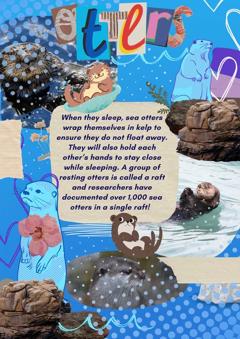 Coolage + fun facts about otters!! Otter Therian, Otter Facts, Sea Otter, Wallpaper Iphone Cute, Otters, Rafting, Facts About, Fun Facts, Iphone Wallpaper