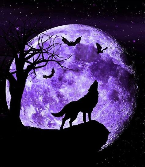 Purple Saturn Aesthetic, Purple Wolf Wallpaper, Purple Wolf Aesthetic, Purple Moon Aesthetic, Wolf Purple, Pink And Purple Background, Spirit Wolf, Shadow Wolf, Werewolf Aesthetic