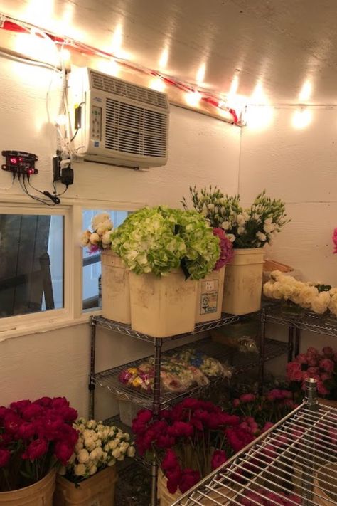 Take an inside look at this DIY cooler the florist built! Flower Shop Display Ideas, Flower Cooler, Floral Cooler, Diy Wedding Fans, Walk In Cooler, Diy Wedding Program Fans, Flower Trucks, Diy Wedding Veil, Florist Studio