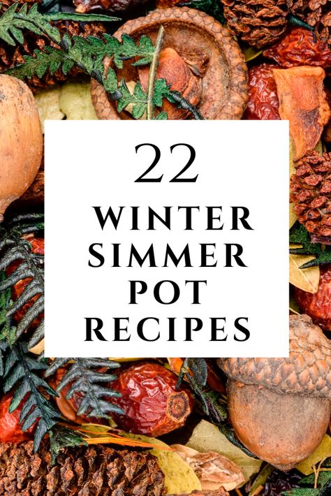 Simmer Pot Recipes House Smells Winter, Smell Good Stove Top, Gingerbread Simmer Pot Recipes, Herb Simmer Pot, Simmer Pot Recipes Williams Sonoma, Winter Solstice Simmer Pot Recipes, Winter Stovetop Potpourri, January Simmer Pot Recipes, Witches Simmer Pot Recipes