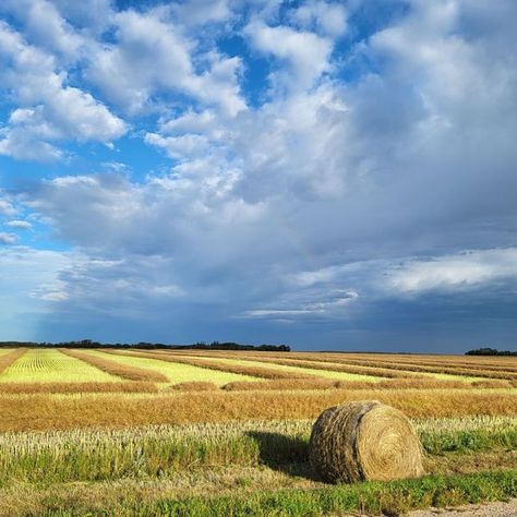 Canadian Landscapes | A Saskatchewan field of dreams. | Facebook Saskatchewan Aesthetic, Canadian Prairies, Field Of Dreams, Design Inspiration, Design