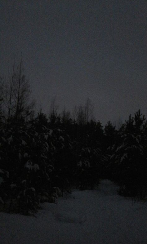 Dark Forest Aesthetic, Creepy Core, Rain Photo, Dark Christmas, Desktop Wallpaper Art, Dreamcore Weirdcore, Night Forest, Snowy Forest, Just You And Me