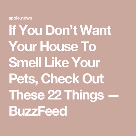 If You Don’t Want Your House To Smell Like Your Pets, Check Out These 22 Things — BuzzFeed Pet Odor Eliminator, Pet Smell, Wet Dog, Natural Cleaners, Pet Odors, Signature Scent, Litter Box, Dog Hair, Smell Good