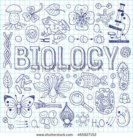 Science Doodles Biology, Biology Doodle Art, Biology Art Draw, Biology Title Page, Exercise Book Design, Biology Doodles, Biology Logo, Biology Background, Cricut Apps