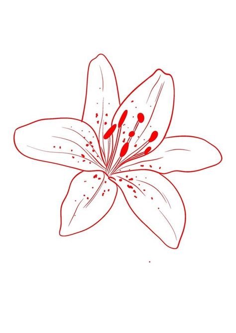 Lily Flower Stencil, Azalea Tattoo Simple, Outline Flower Tattoo, Lily Outline, Lily Stencil, Line Drawing Of Flowers, Lilly Flower Drawing, Lily Flower Drawing, Lilly Tattoo Design