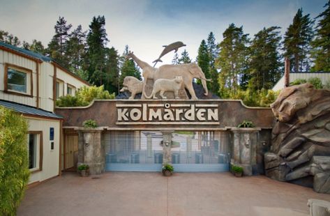 Zoo Backstage Area, Planet Zoo Entrance Ideas, Zoo Entrance Design, Zoo Exhibit Design, Theme Park Entrance, Zoo Aesthetic, Zoo Entrance, Zoo Games, Zoo Inspiration